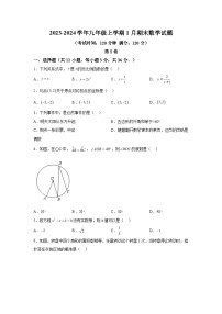 广西壮族自治区钦州市浦北县2023-2024学年九年级上学期1月期末数学试题(含解析)