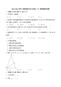 2022-2023学年上海市徐汇区七年级（下）期末数学试卷