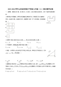 2023-2024学年山东省济南市平阴县九年级（上）期末数学试卷（含解析）