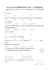 2023-2024学年江苏省南通市通州区八年级（上）期末数学试卷(含解析）