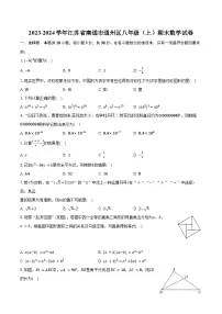 2023-2024学年江苏省南通市通州区八年级（上）期末数学试卷(含解析）