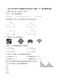 2023-2024学年广东省茂名市化州市八年级（下）期中数学试卷（含解析）