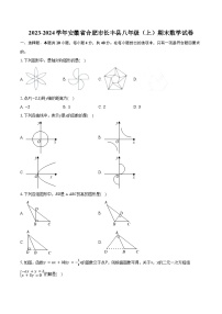 2023-2024学年安徽省合肥市长丰县八年级（上）期末数学试卷（含解析）
