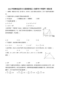 2024年湖南省益阳市大通湖管理区三校联考中考数学二模试卷（含解析）