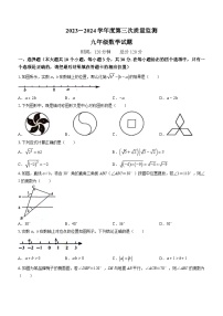 2024年山东省菏泽市鄄城县九年级中考三模数学试题（含答案）