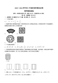 2024年山西省太原市实验中学校中考三模数学试题（含答案）