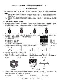 吉林省长春市朝阳区长春高新技术产业开发区慧谷学校2023-2024学年九年级下学期第三次月考数学试题