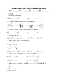 新疆喀什地区2024届九年级下学期中考三模数学试卷(含答案)