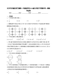 长沙市开福区青竹湖湘一外国语学校2024届九年级下学期中考一模数学试卷(含答案)