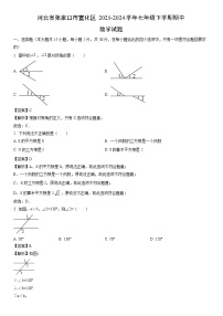 【数学】河北省张家口市宣化区2023-2024学年七年级下学期期中试题（解析版）