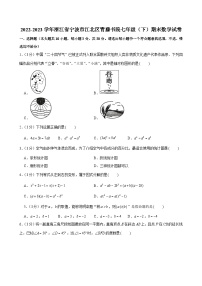 2022-2023学年浙江省宁波市江北区青藤书院七年级（下）期末数学试卷