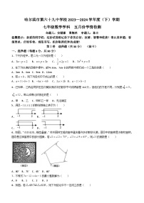 黑龙江省哈尔滨市第六十九中学校2023-2024学年七年级下学期5月月考数学试题（含答案）