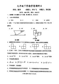 2024年河南省实验中学九年级下学期学情调研四数学试题