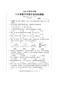 2020年秋广西防城港市防城区八年级数学上册期中检测试题（扫描版含答案）