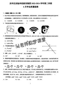 2024深圳龙华区实验学校中考数学模拟试卷