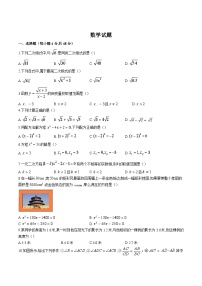 四川省眉山市仁寿县2024届九年级下学期4月期中考试数学试卷(含解析)