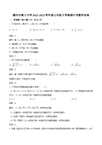 腾冲市第八中学2022-2023学年七年级下学期期中考试数学试卷(含解析)