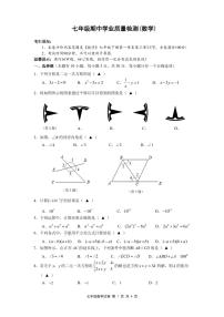 浙江省温州市2023-2024学年七年级下学期期中学业质量检测数学试卷(含答案)