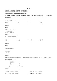 河北省邢台市多校2023-2024学年七年级下学期期中考试数学试卷(含解析)