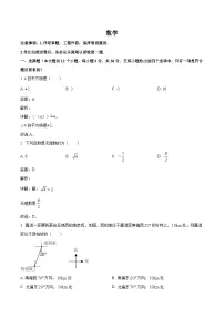 河北省邢台市多校2023-2024学年七年级下学期期中考试数学试卷(含解析)