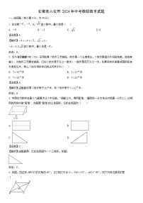 [数学]安徽省六安市2024年中考模拟试题（解析版）