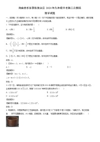 [数学]海南省乐东黎族自治县2024年九年级中考第二次模拟试题（解析版）