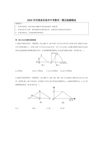 [数学]2024年河南省各地市中考数学一模压轴题精选（有解析）