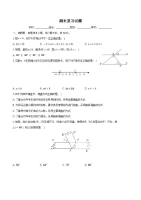 期末复习试题2023-2024学年人教版七年级数学下册