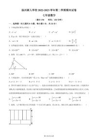 江苏扬州树人学校2022-2023学年七年级下学期数学期末试卷含答案解析