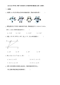 2023-2024学年第二学期广东省深圳市七年级数学期末模拟练习试卷（含解答）