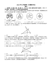 2024年广东省汕头市濠江区中考二模数学试题(无答案)