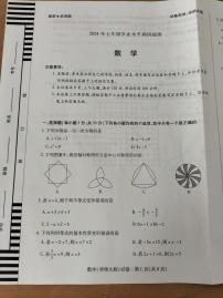 河南省新乡市辉县市2023-2024学年七年级下学期6月期末数学试题