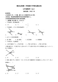 河南省新乡市多校联考2023-2024学年七年级下学期4月期中数学试题