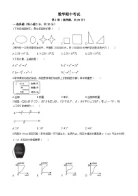 四川省成都市锦江区锦江区师一学校2023-2024学年七年级下学期期中数学试题(无答案)