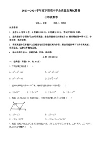 四川省成都市武侯区成都西川中学2023-2024学年七年级下学期期中数学试题(无答案)