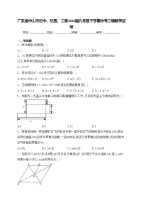 广东省中山市纪中、纪雅、三鑫2024届九年级下学期中考三模数学试卷(含答案)