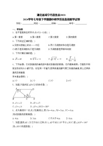 湖北省咸宁市嘉鱼县2023-2024学年七年级下学期期中教学质量监测数学试卷(含答案)