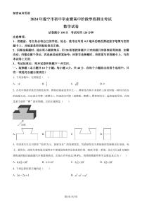 2024年四川省遂宁市中考数学试题（原卷版+含解析）