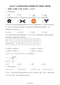 2024年广东省深圳市深圳大学附属中学中考三模数学试题（原卷版+含解析）