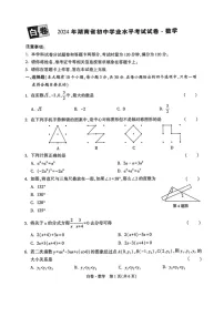 [数学]2023～2024数学年湖南省中考数学模拟试题（无答案）