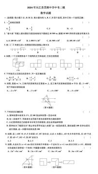 2024年贵州省黔东南苗族侗族自治州从江县贯洞中学九年级中考二模数学试题