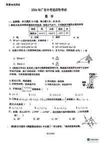 广东省佛山市南海区桂城街道文翰中学2023-2024学年九年级下学期6月月考数学试题