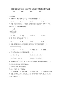 河北省唐山市2020-2021学年七年级下学期期末数学试题