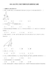 [数学]2023～2024数学年北师大版八年级下册数学期末复习试题（含答案）