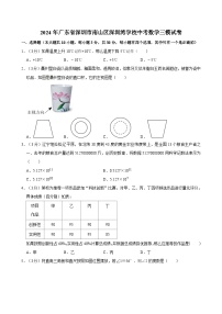 2024年广东省深圳市南山区深圳湾学校中考数学三模试卷