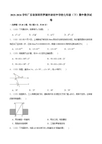 广东省深圳市罗湖外语初中学校2023-2024学年七年级下学期期中数学试卷