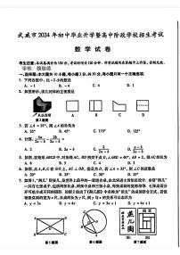 2024年甘肃省武威市中考数学试题（原卷版+含解析）