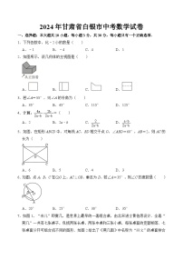 2024年甘肃省白银市中考数学试卷  含答案