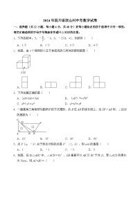 2024年四川省凉山州中考数学试卷 含答案