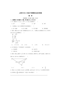 [数学]上海市2024八年级下数学期期末全优冲刺数学卷（原卷版）